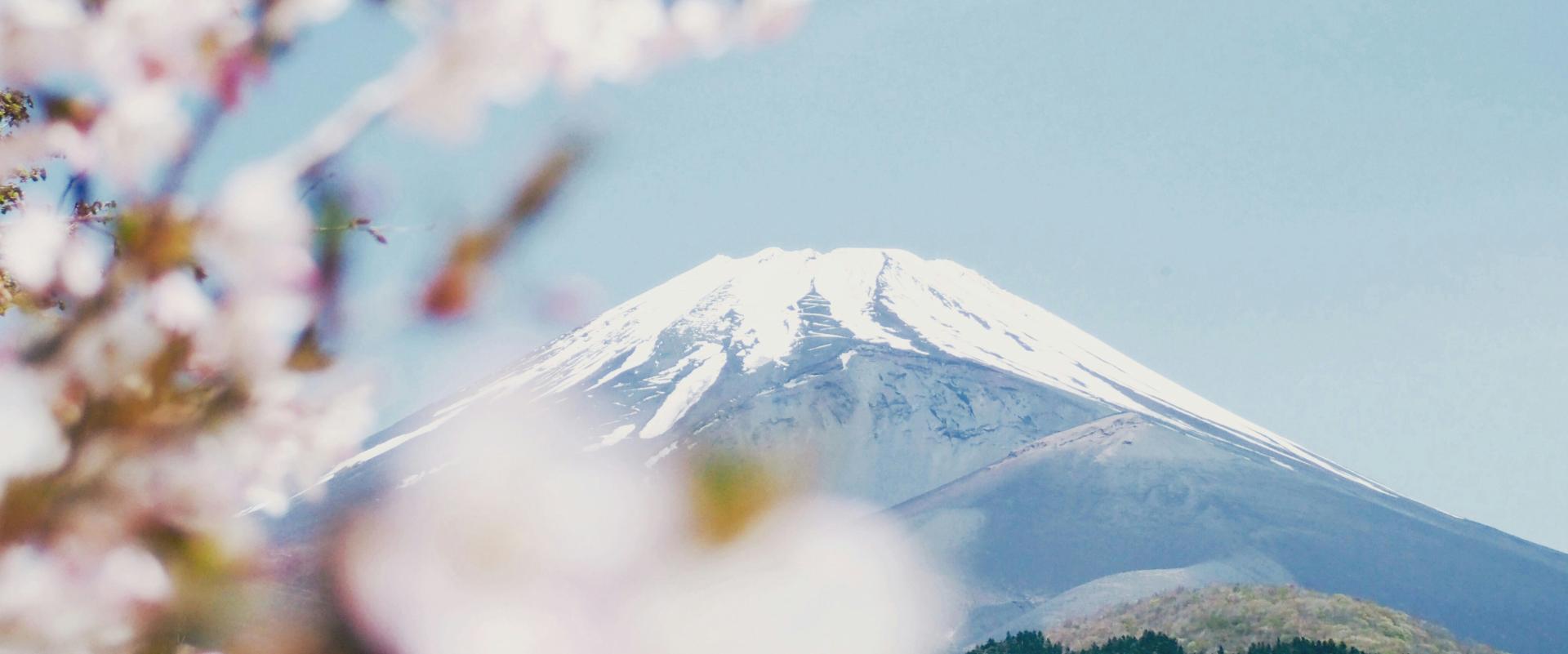 Czy łatwo jest sprzedawać kosmetyki w Japonii?