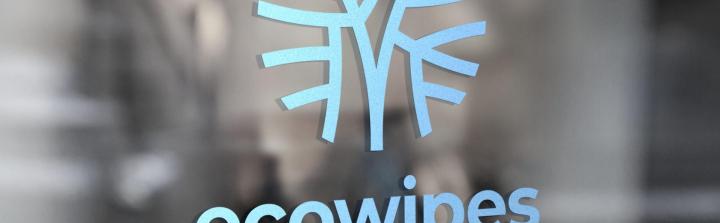 Ecowipes publikuje Raport ESG za rok 2024 